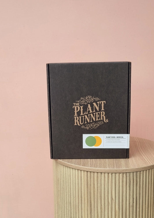 The Plant Runner Gift Pack-Hobart Florist Delivery-The Wild Bunch