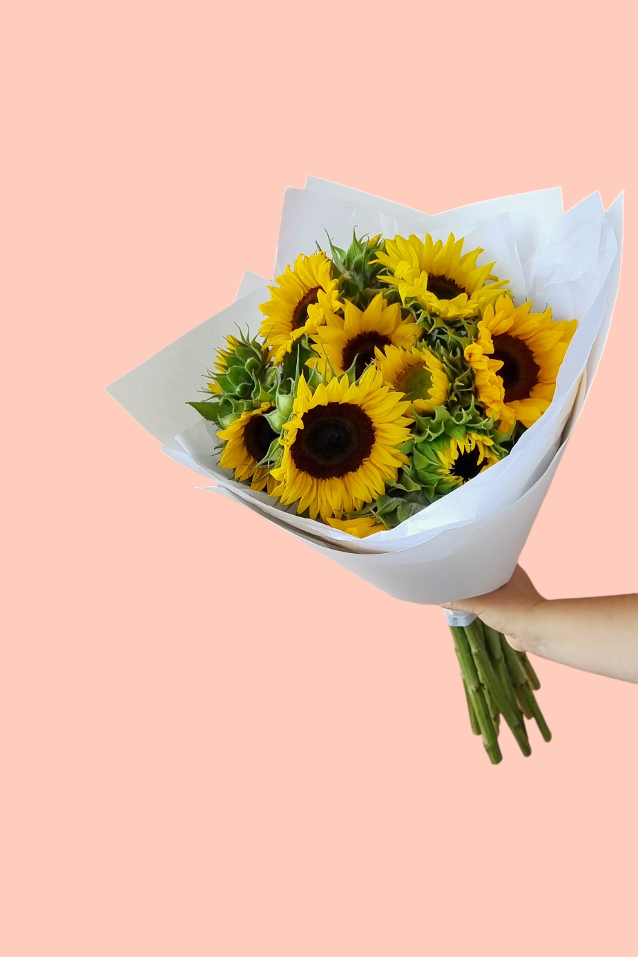 Market Bunch- Sunflowers x 10 stems-Flowers-Hobart Florist Delivery-The Wild Bunch