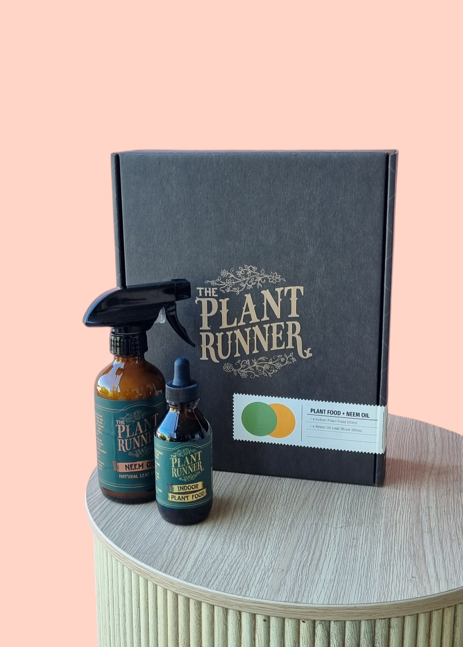 The Plant Runner Gift Pack-Hobart Florist Delivery-The Wild Bunch